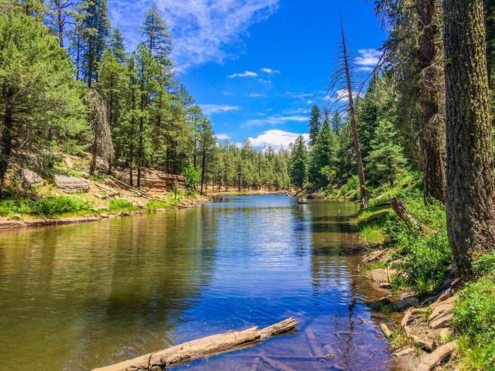 Apache-Sitgreaves-National-Forest