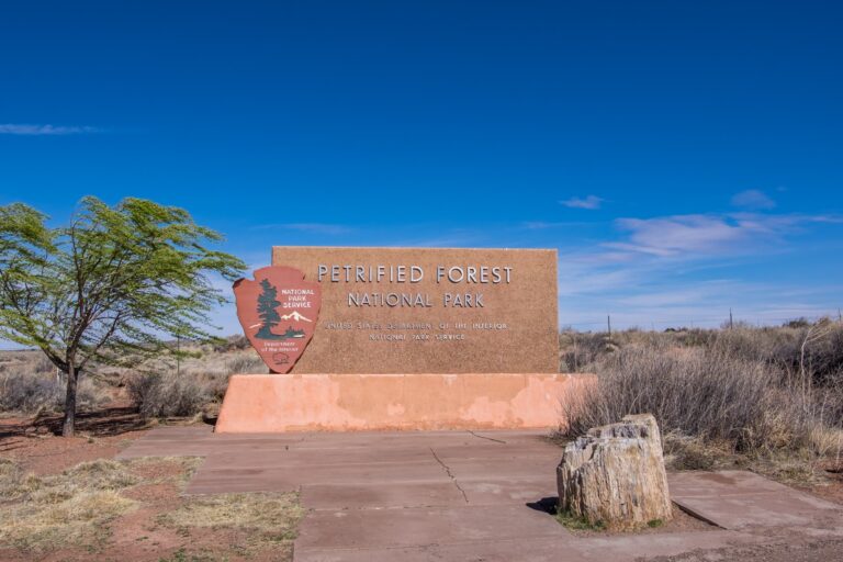 PetrifiedForestNationalPark-018