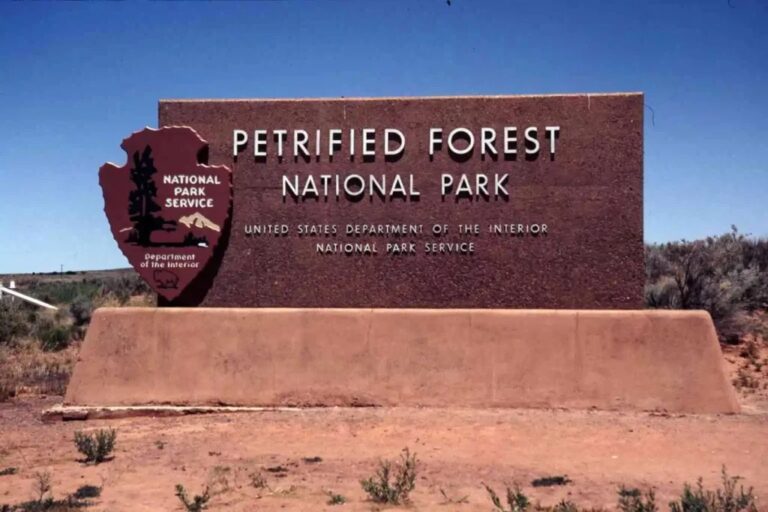 petrified-forest-Main-1-e1682468983862-1024x683